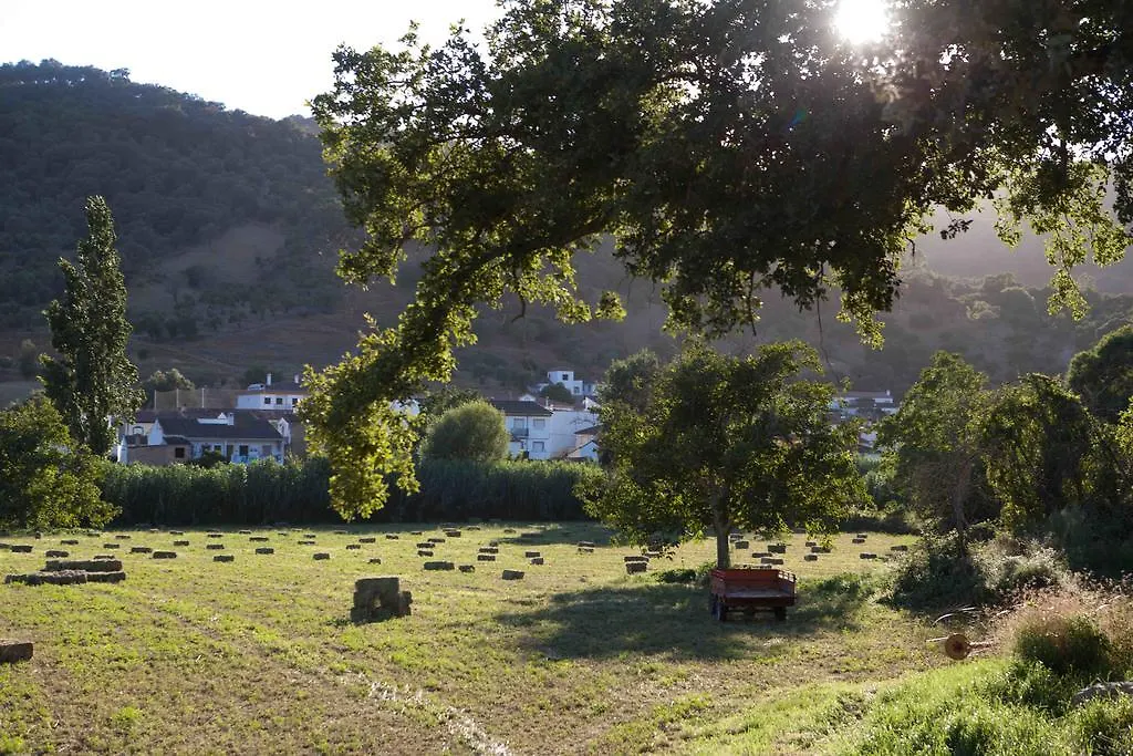 Finca La Rana Verde Cortes de la Frontera 0*,  Spain