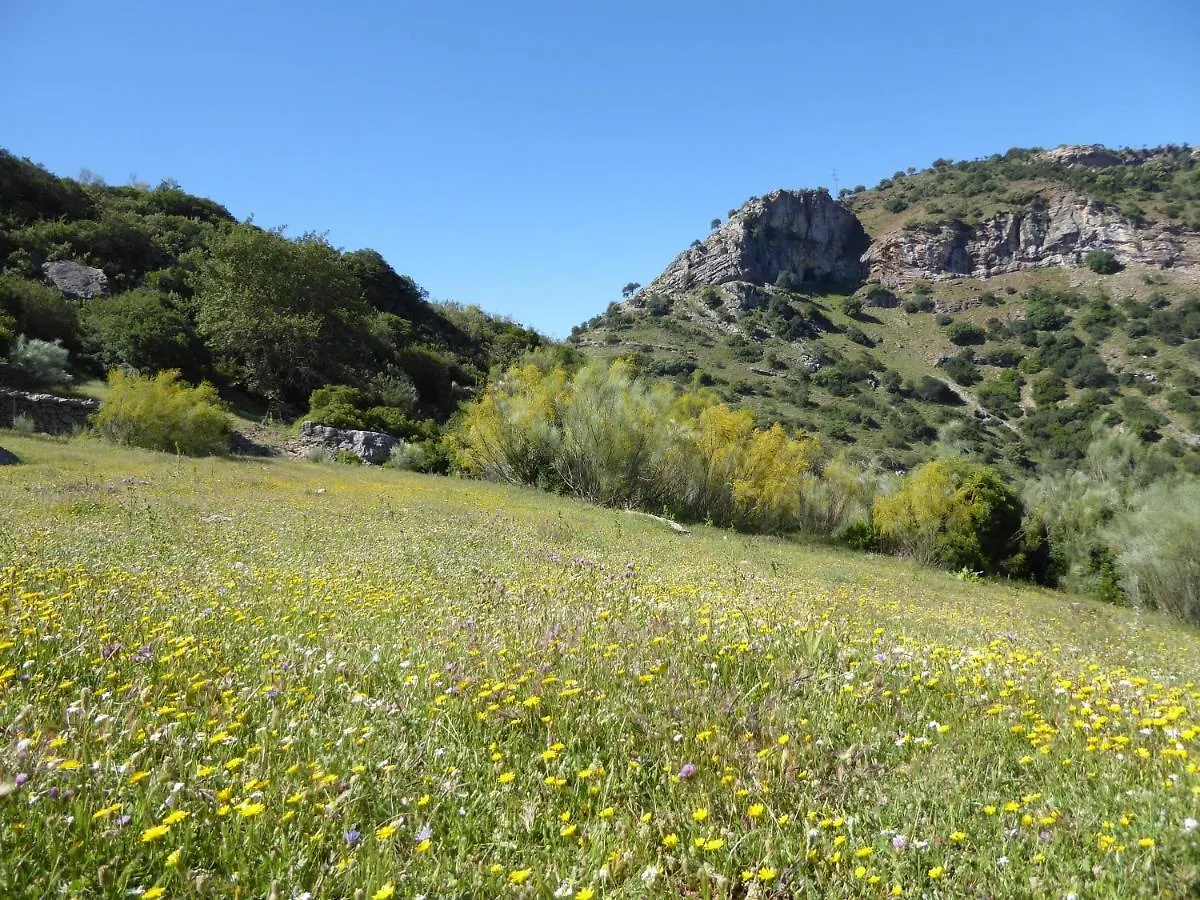 شقة Finca La Rana Verde كورتيس دي لا فرونتيرا إسبانيا