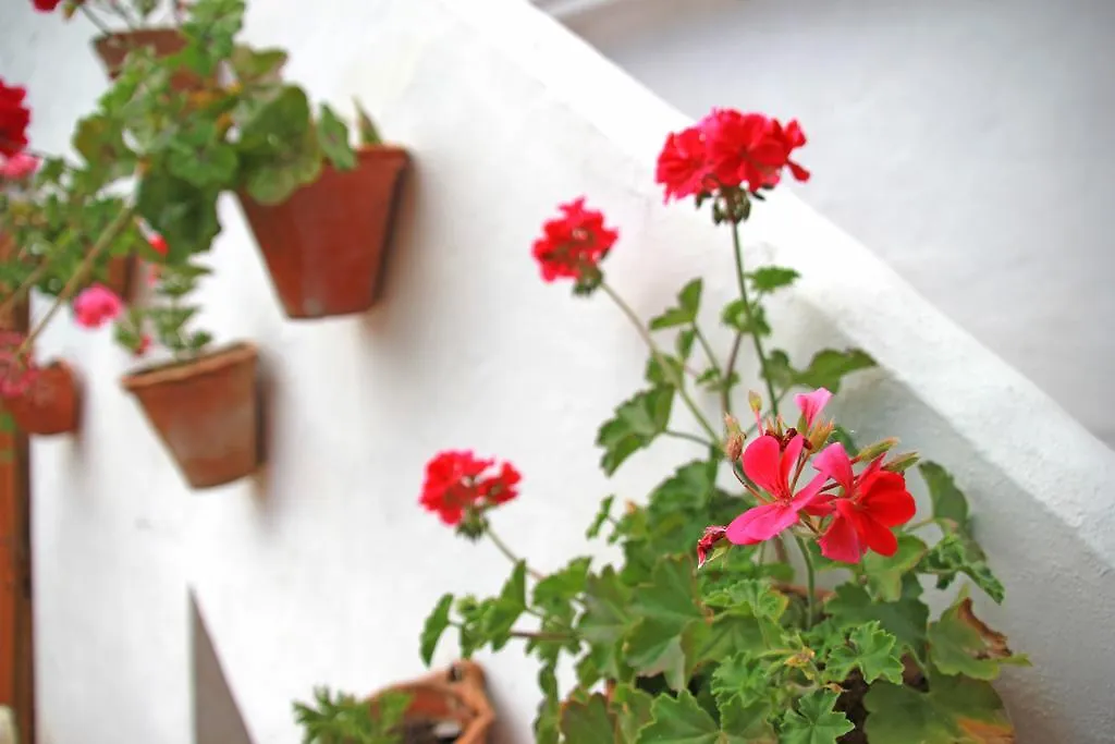 Finca La Rana Verde كورتيس دي لا فرونتيرا